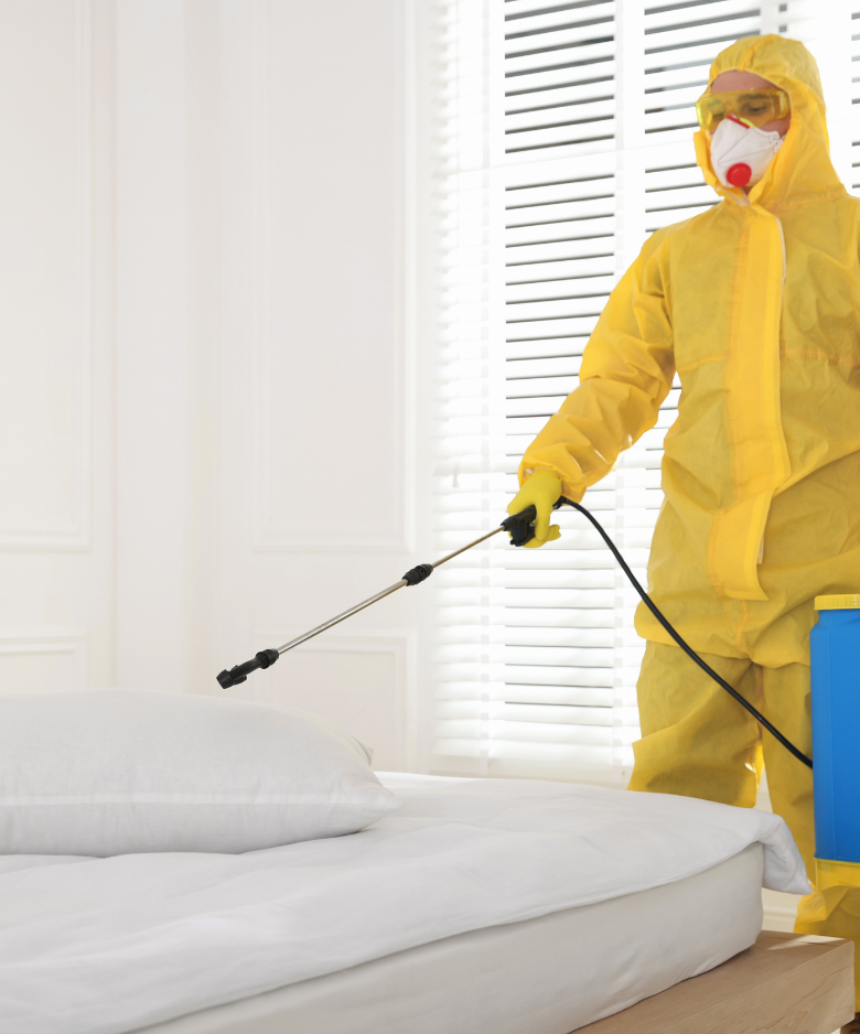 Professional Pest Control Team in Mount Osmond